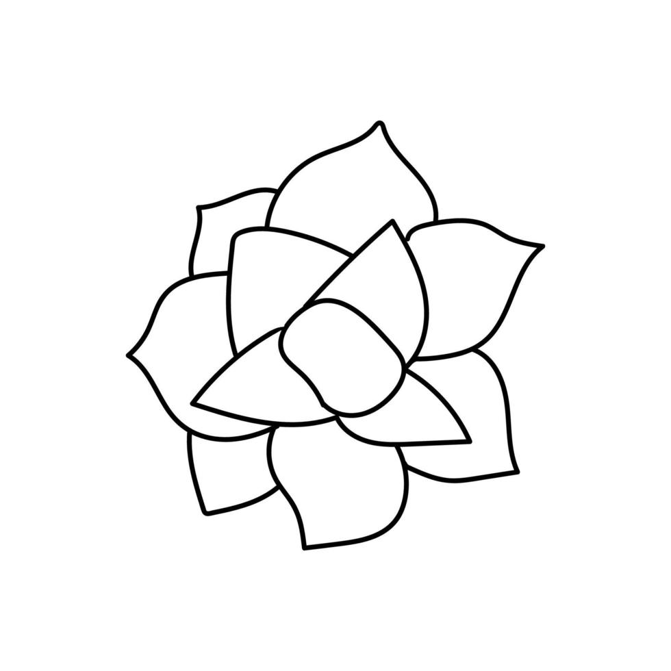 flower line art illustration vector elements design
