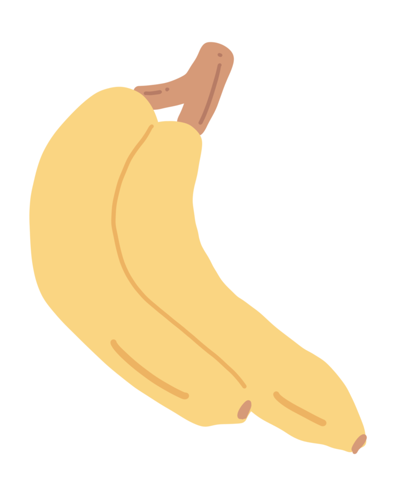 cartoon groenten en fruit png