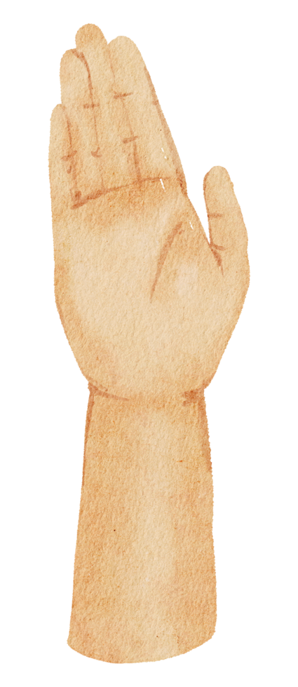 geste des mains aquarelle png