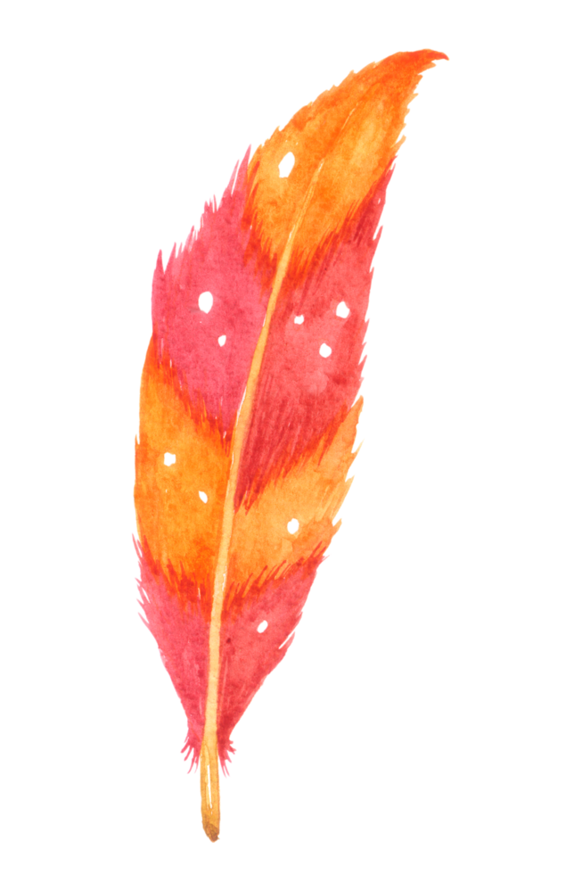 Feather watercolor hand paint png