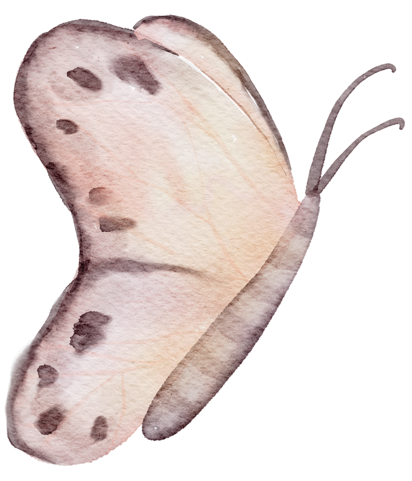 pintura de mano de acuarela de mariposa png