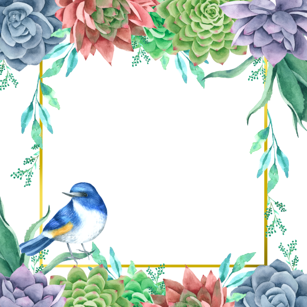 cornice di fiori botanici acquerello png