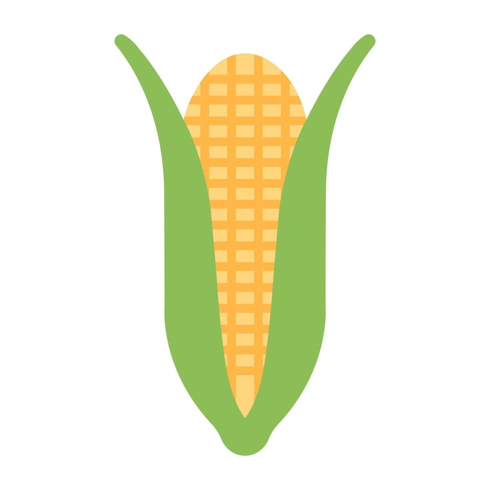 A premium download icon of corn cob vector