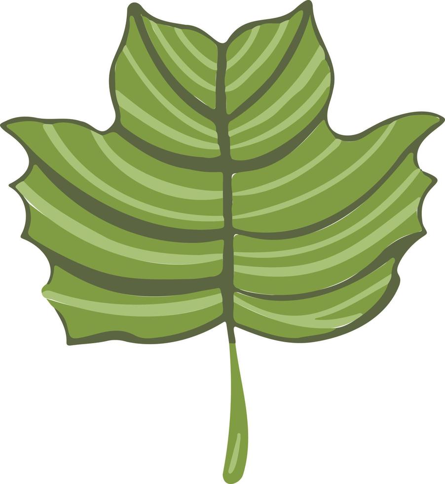 hoja planta árbol colorido dibujo ilustración símbolo vector