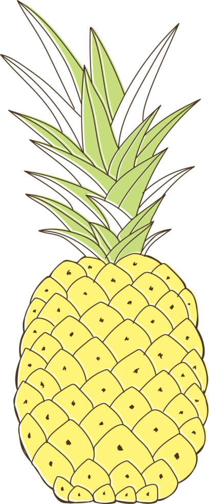 Cartoon vegetables and fruits png