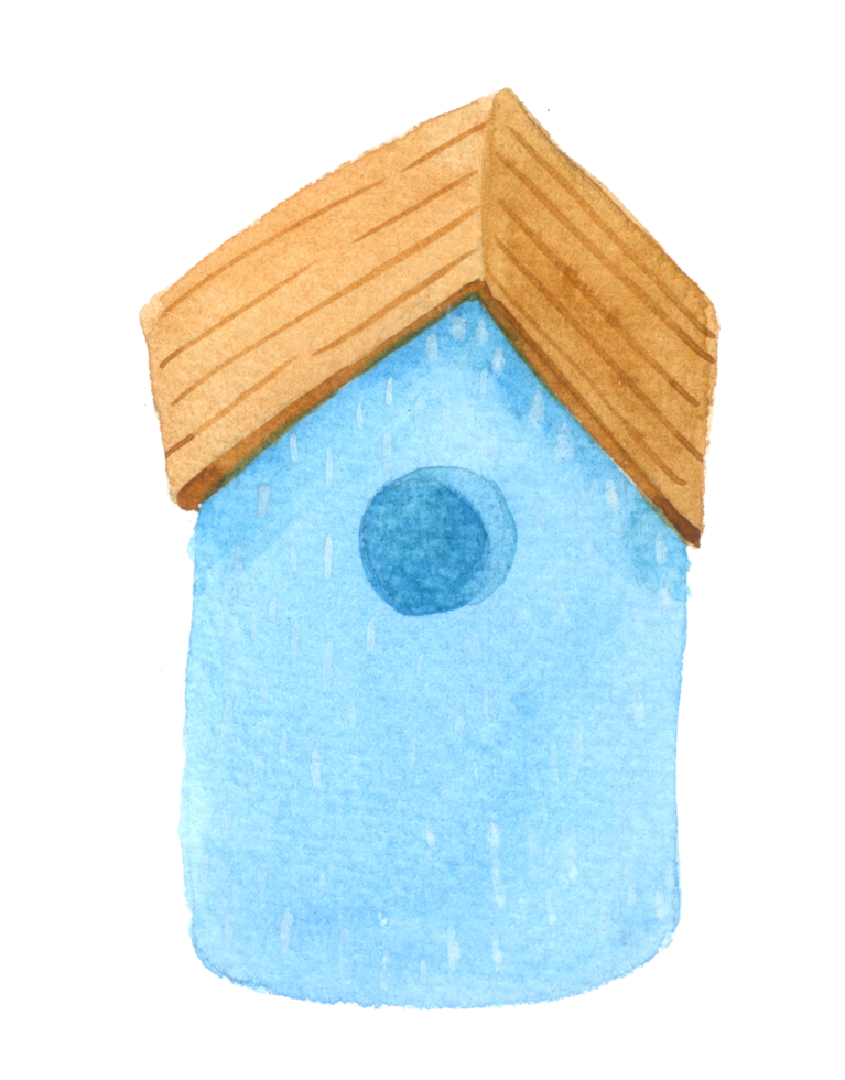 birds house watercolor hand paint png