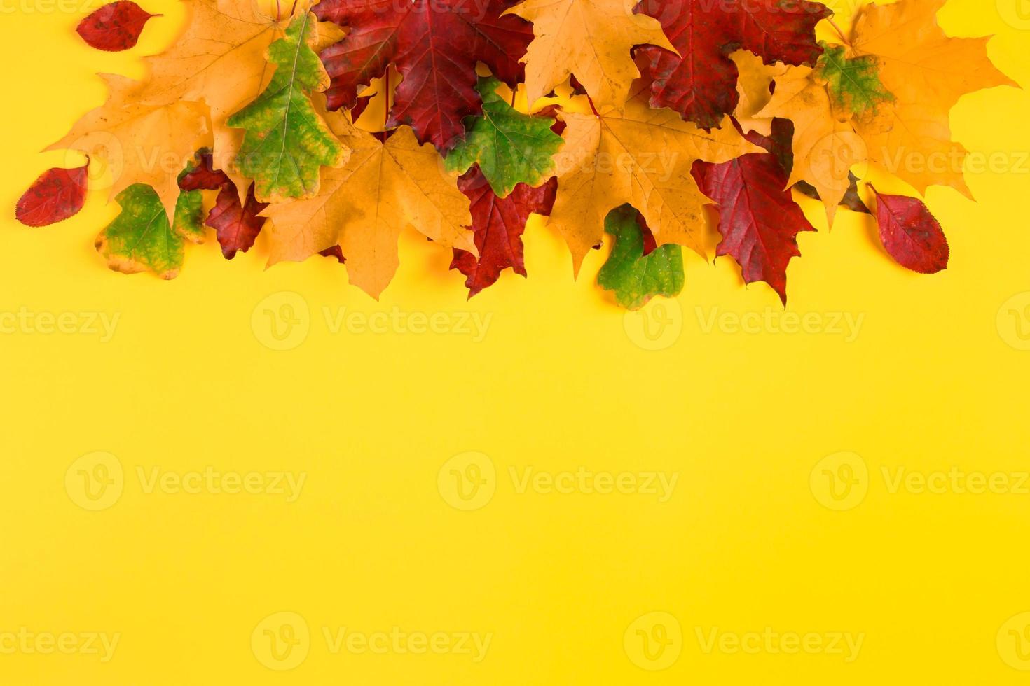 Frame from fallen autumn maple leaves on a bright yellow background. Colorful fall foliage. Backdrop for design. photo