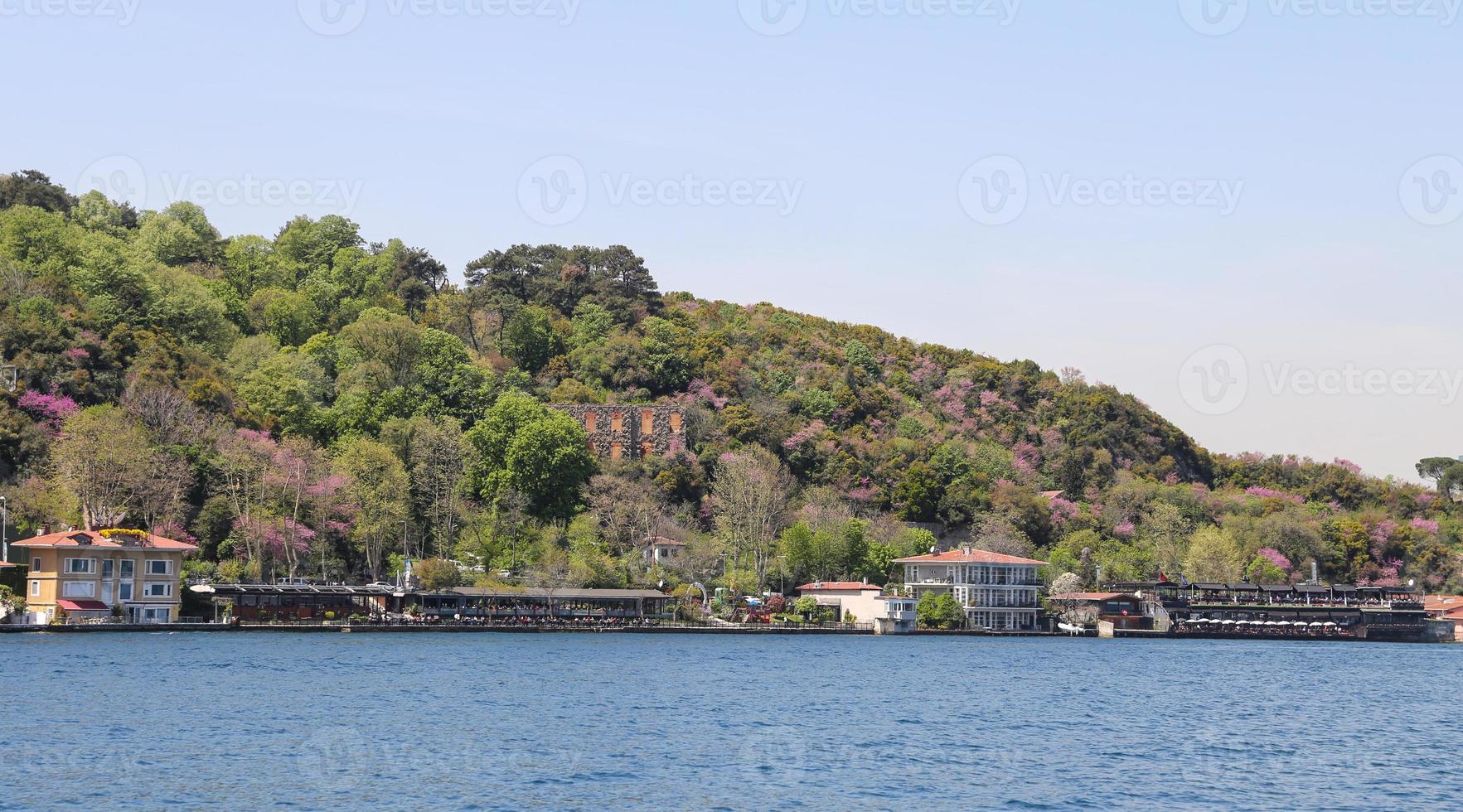 Buildings in Istanbul City, Turkey photo