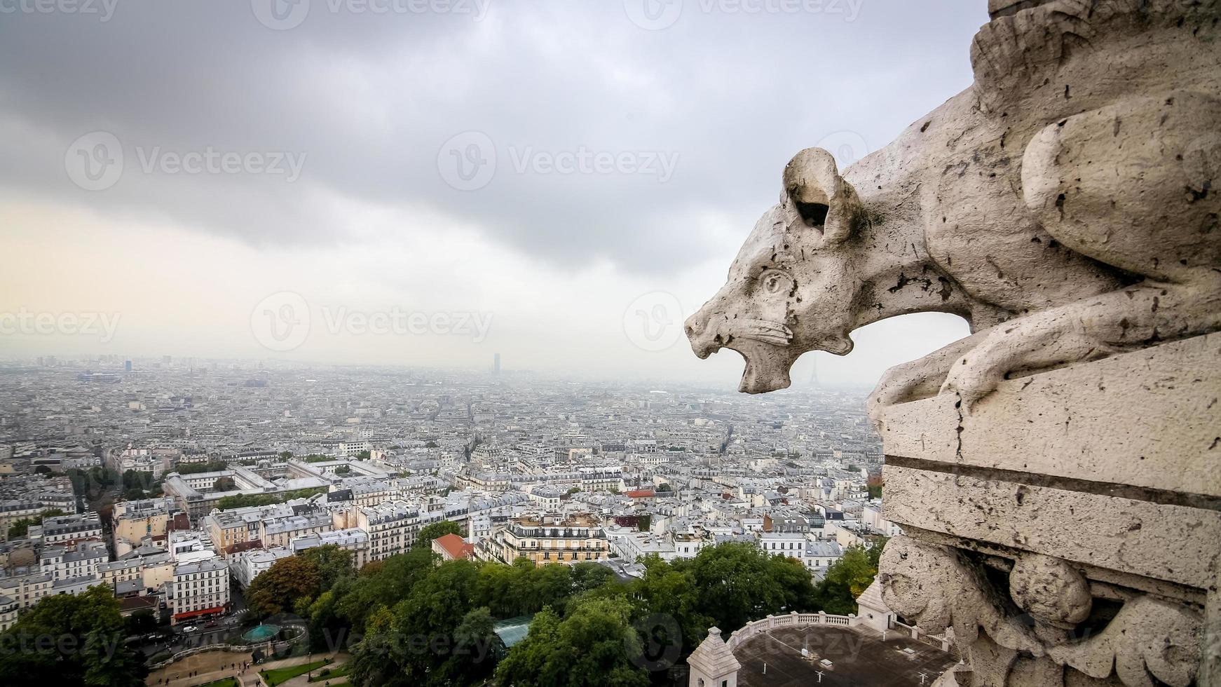 Paris View from Sacre Coeur Basilica photo