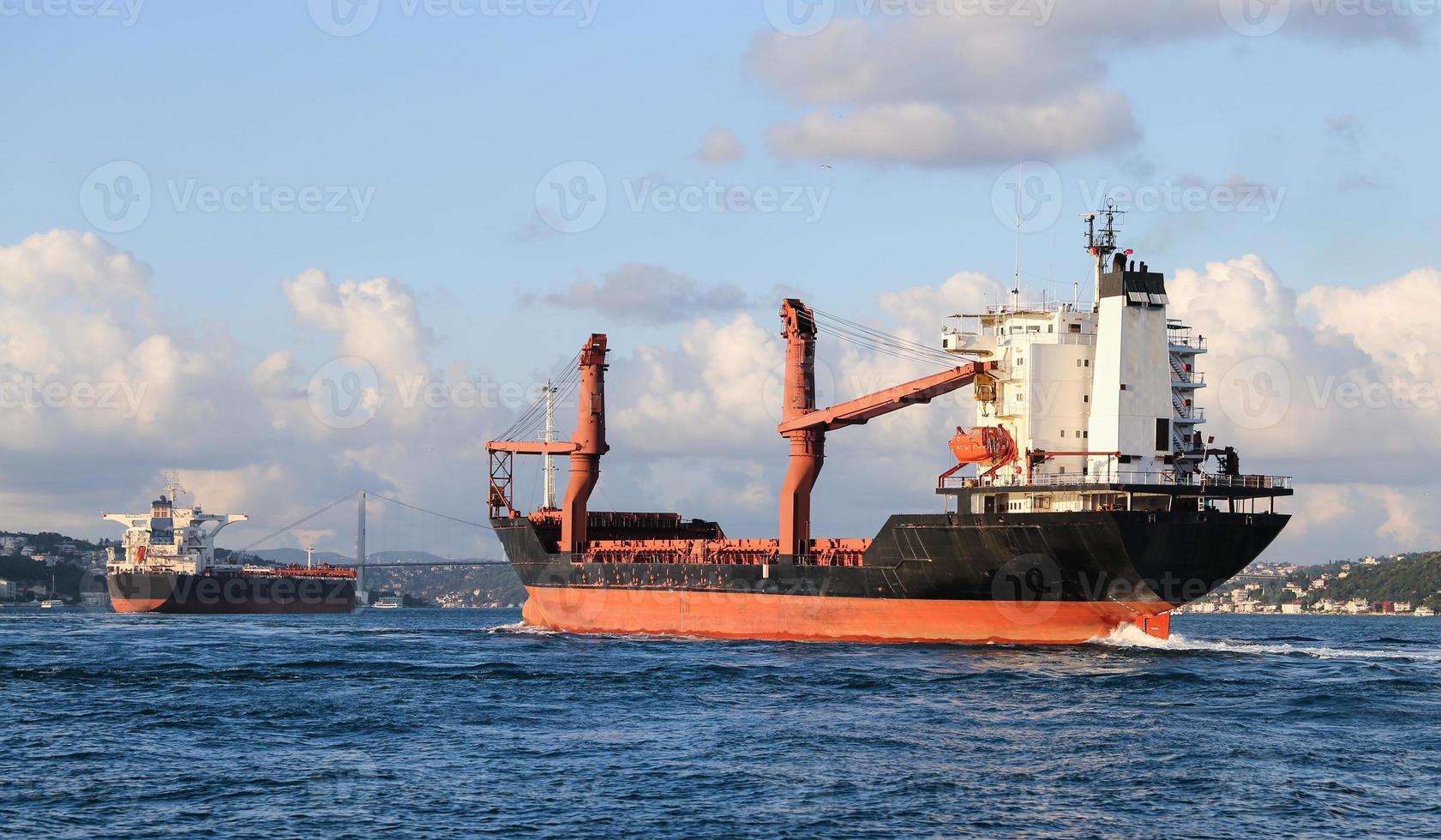 Cargo Ship in Sea photo