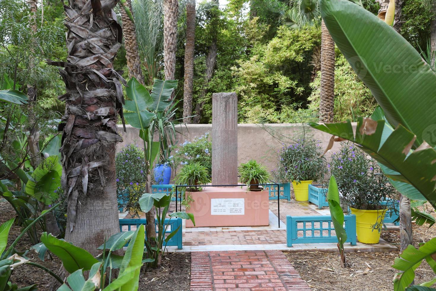 Majorelle Garden in Marrakech, Morocco photo