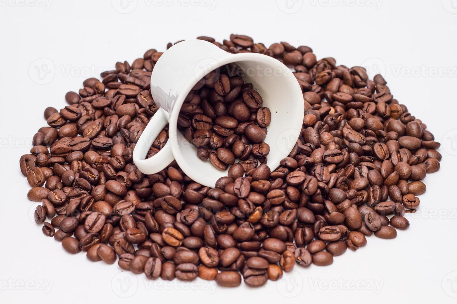 Roasted Coffee Beans photo
