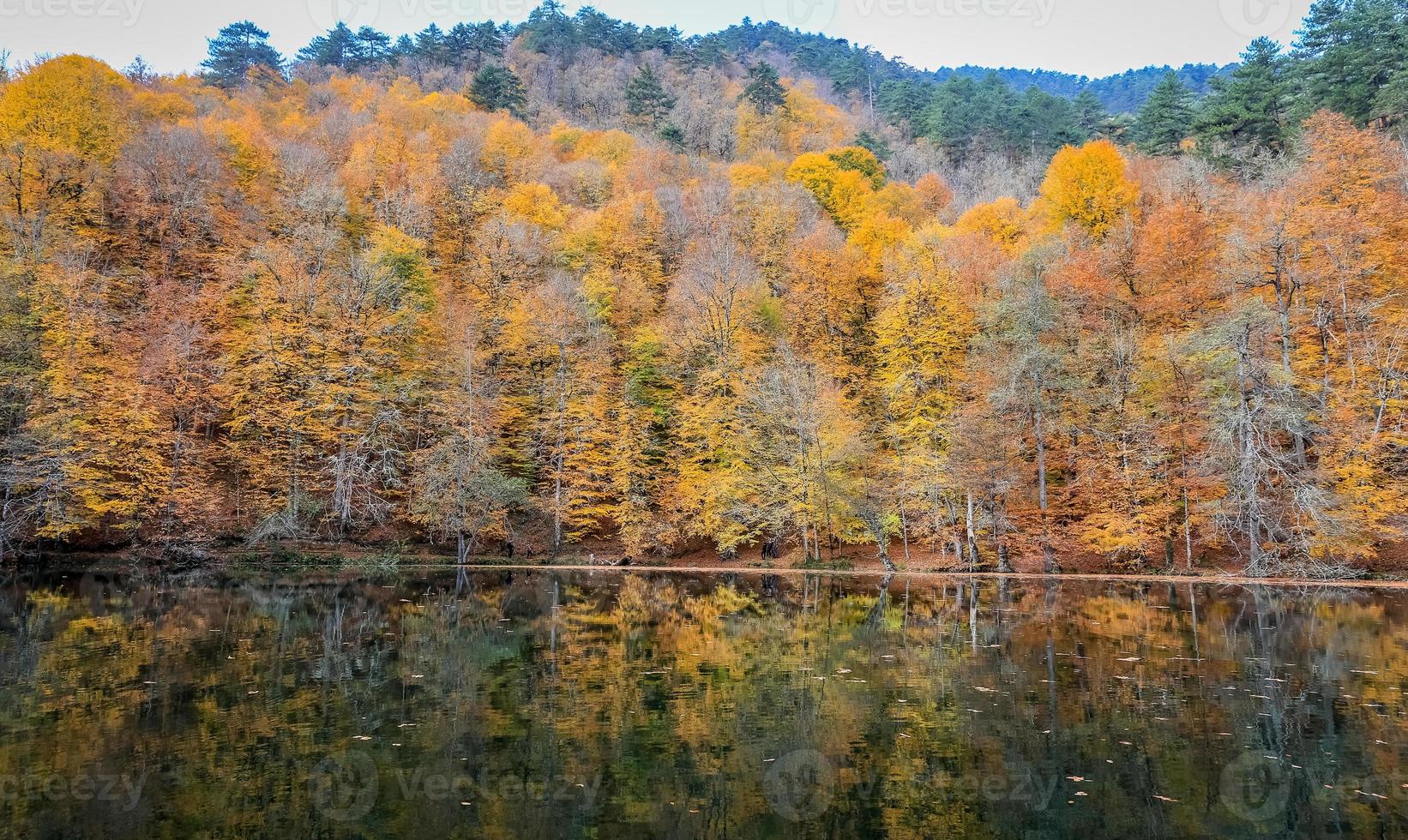 lago buyuk en el parque nacional yedigoller, turquía foto