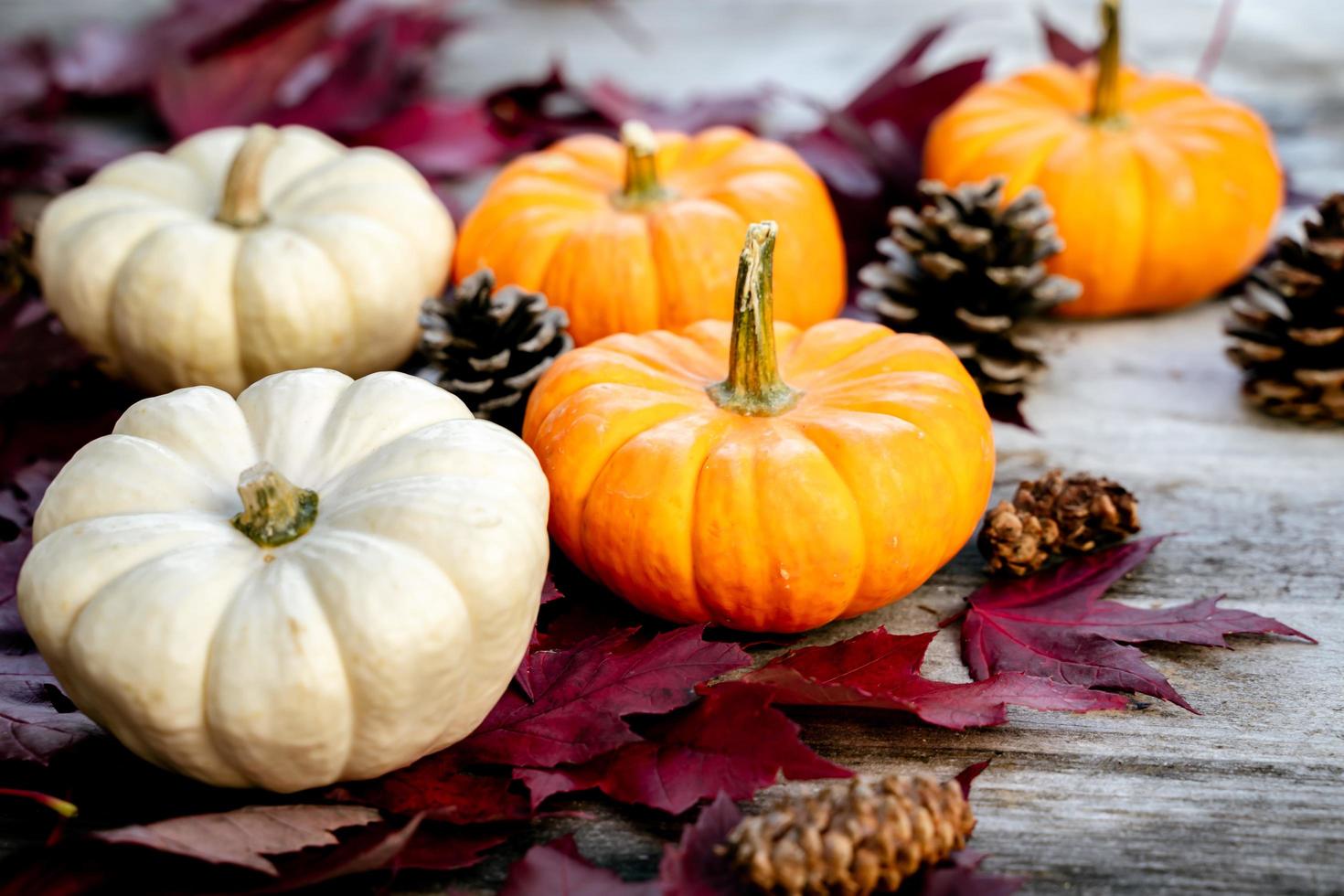Festive autumn decor from pumpkins, pine and leaves on a  wooden background. Concept of Thanksgiving day or Halloween. Flat lay autumn composition with copy space. photo