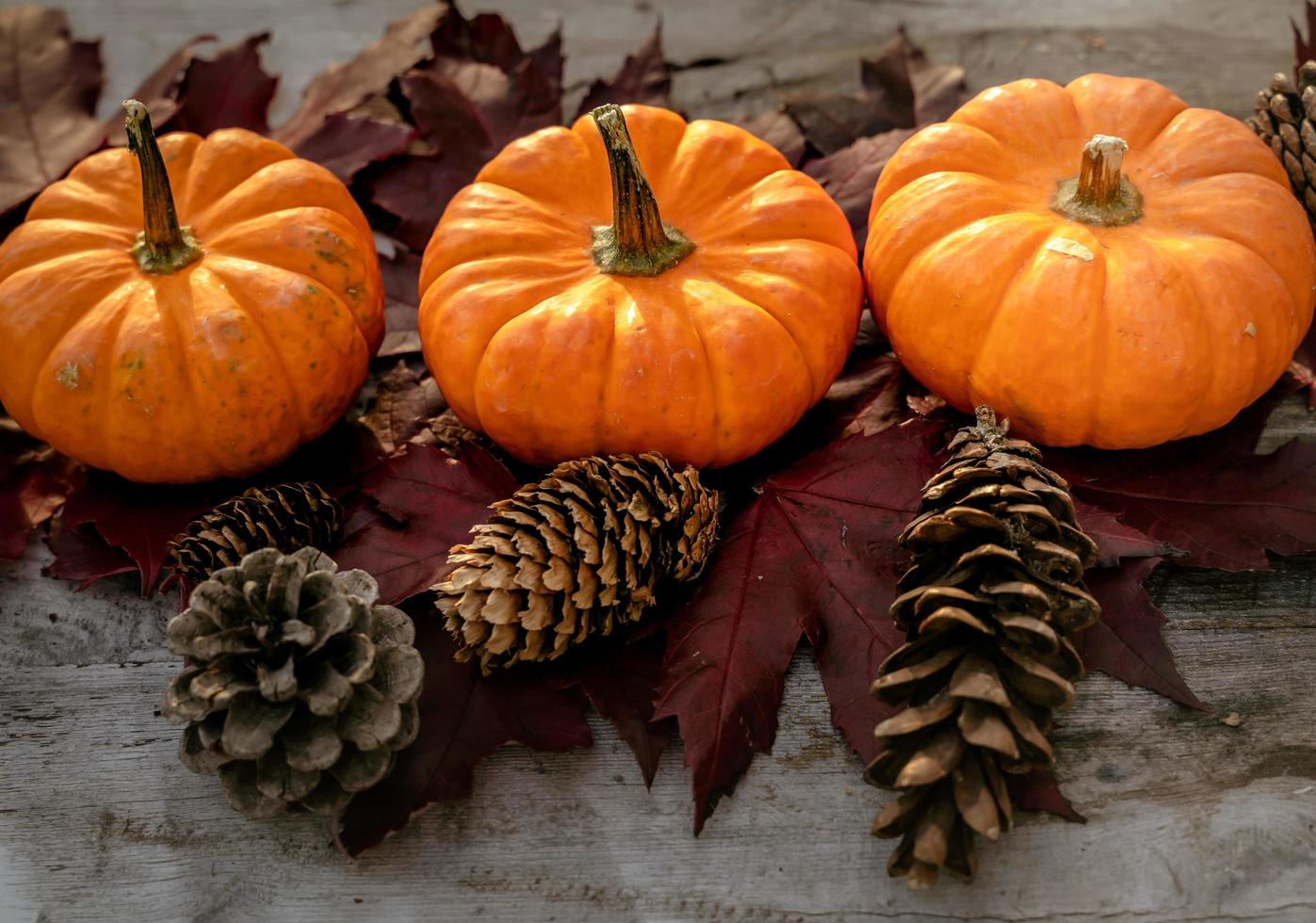 Festive autumn decor from pumpkins, pine and leaves on a  wooden background. Concept of Thanksgiving day or Halloween. Flat lay autumn composition with copy space. photo