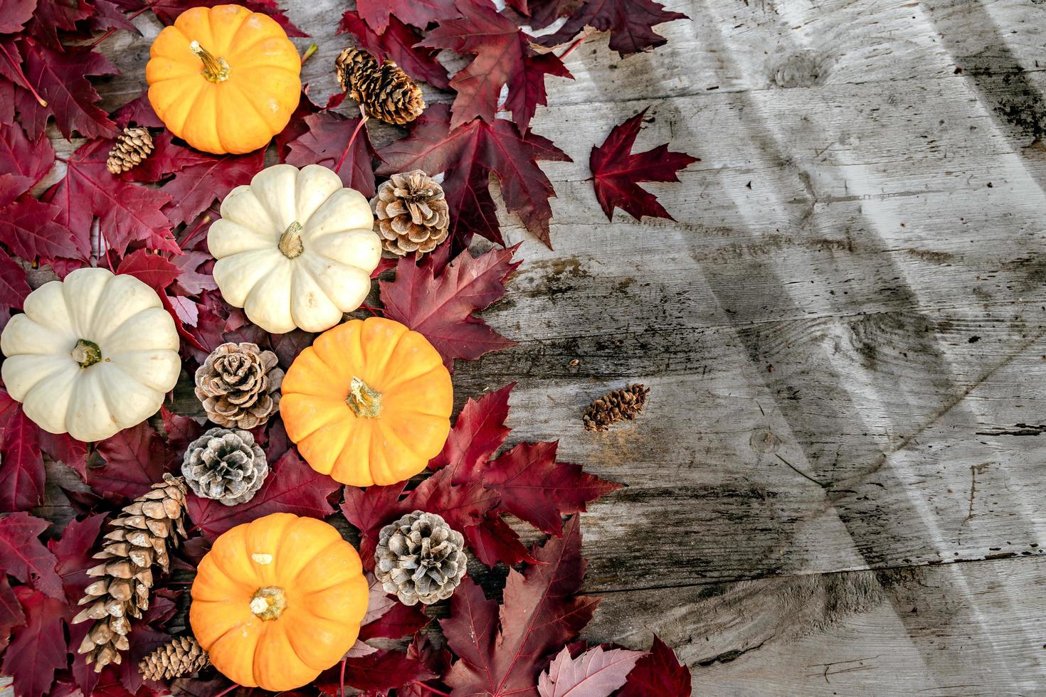 Pumpkins, dried leaves and pine wiht Autumn composition on wood background. Autumn, fall, halloween concept. Flat lay, top view, copy space photo