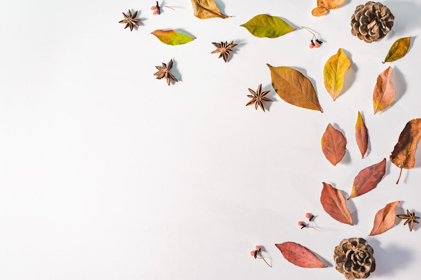 Autumn composition. autumn leaves on bright blue pastel background. Flat lay, top view copy space. photo