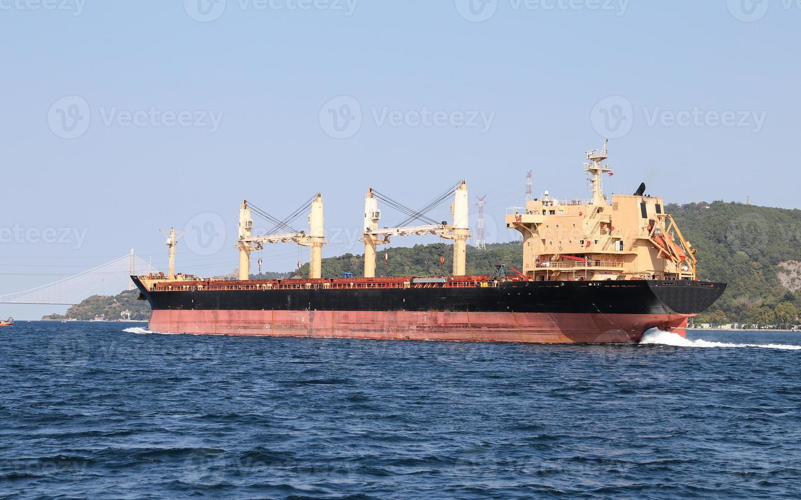 Cargo Ship in Sea photo