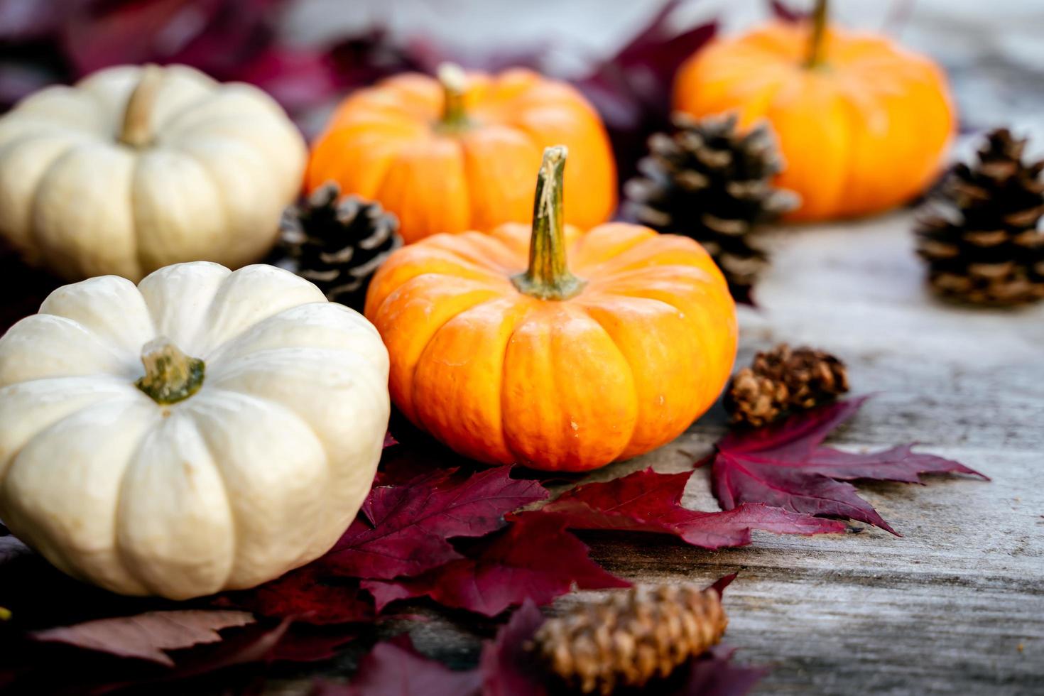 Festive autumn decor from pumpkins, pine and leaves on a  wooden background. Concept of Thanksgiving day or Halloween. Flat lay autumn composition with copy space. photo