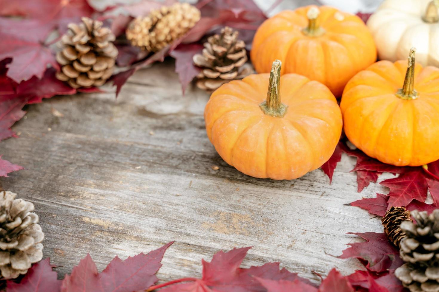 Pumpkins, dried leaves and pine wiht Autumn composition on wood background. Autumn, fall, halloween concept. Flat lay, top view, copy space photo