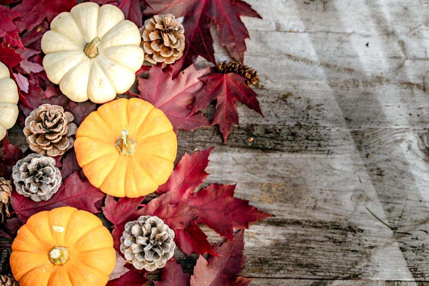 Pumpkins, dried leaves and pine wiht Autumn composition on wood background. Autumn, fall, halloween concept. Flat lay, top view, copy space photo