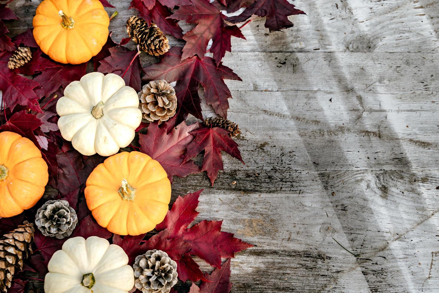 Pumpkins, dried leaves and pine wiht Autumn composition on wood background. Autumn, fall, halloween concept. Flat lay, top view, copy space photo