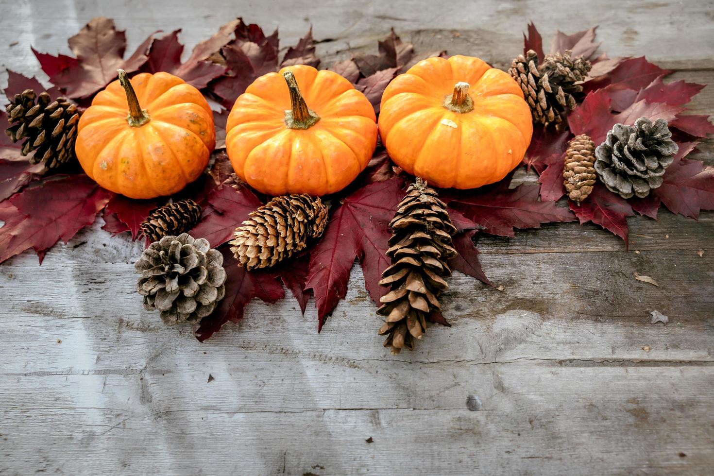 Festive autumn decor from pumpkins, pine and leaves on a  wooden background. Concept of Thanksgiving day or Halloween. Flat lay autumn composition with copy space. photo