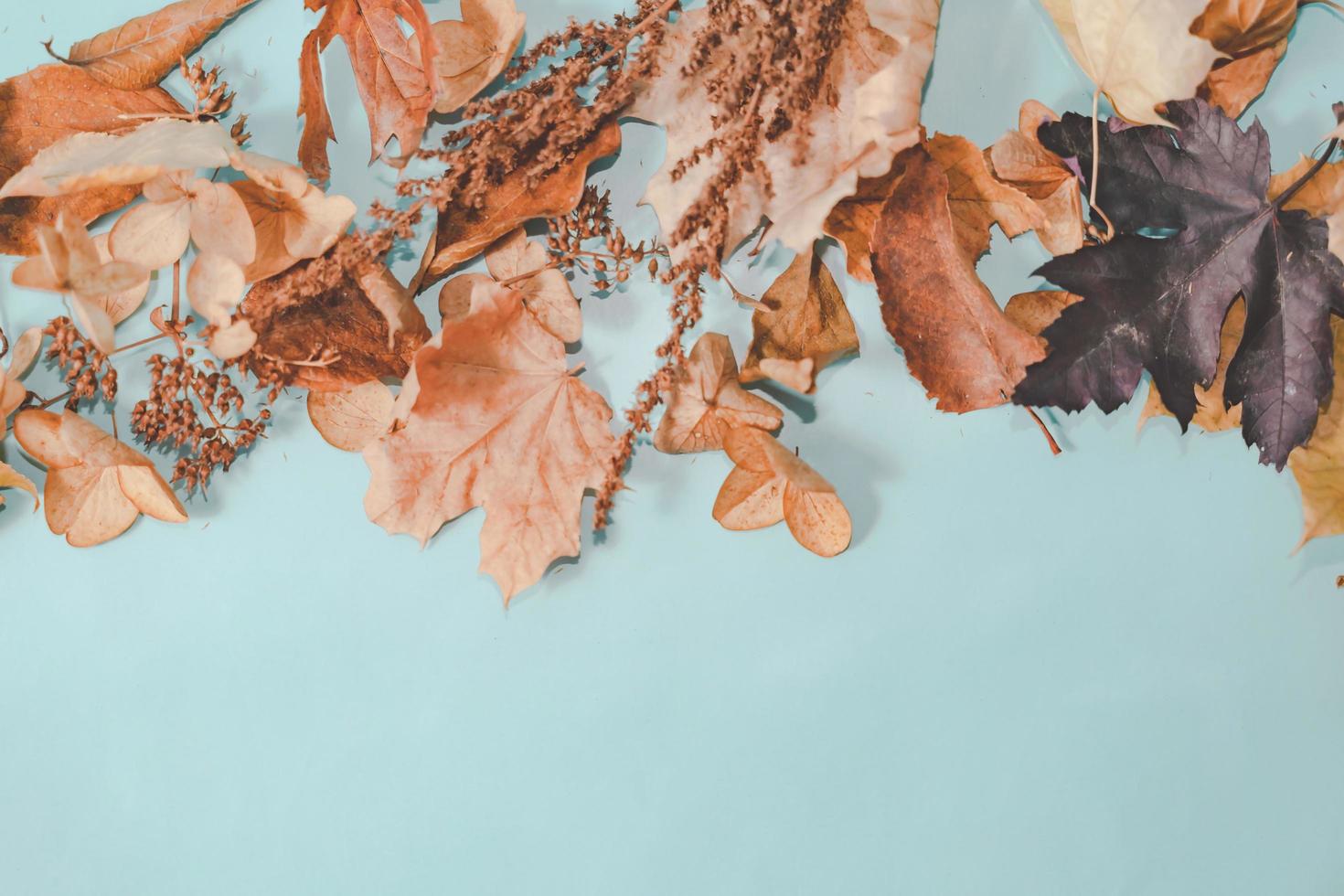 Autumn composition. Cup of coffee, autumn leaves , cinnamon sticks and anise stars on Bright Blue pastel  background. Flat lay, top view copy space. photo