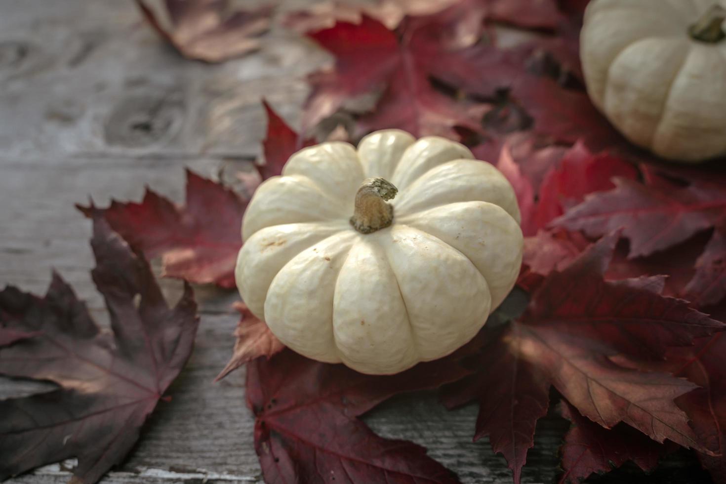 Festive autumn decor from pumpkins, pine and leaves on a  wooden background. Concept of Thanksgiving day or Halloween. Flat lay autumn composition with copy space. photo