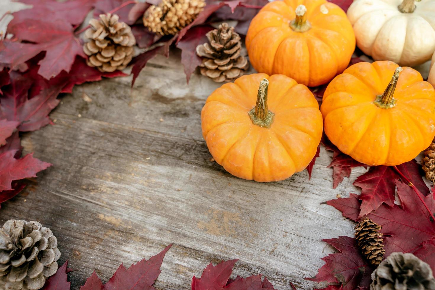 Pumpkins, dried leaves and pine wiht Autumn composition on wood background. Autumn, fall, halloween concept. Flat lay, top view, copy space photo