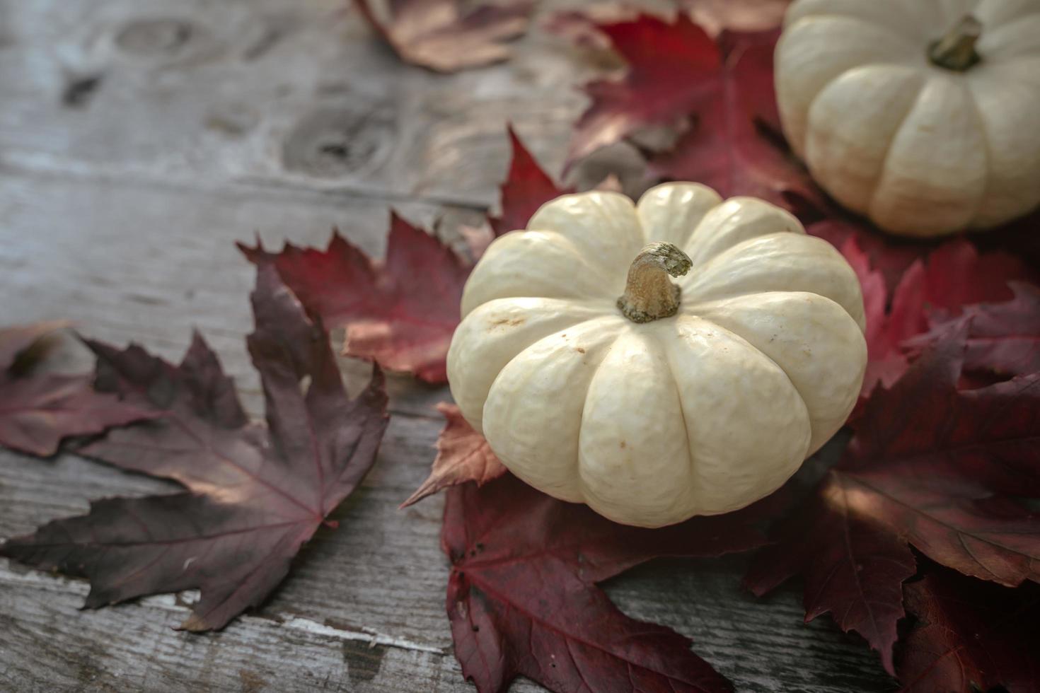 Festive autumn decor from pumpkins, pine and leaves on a  wooden background. Concept of Thanksgiving day or Halloween. Flat lay autumn composition with copy space. photo