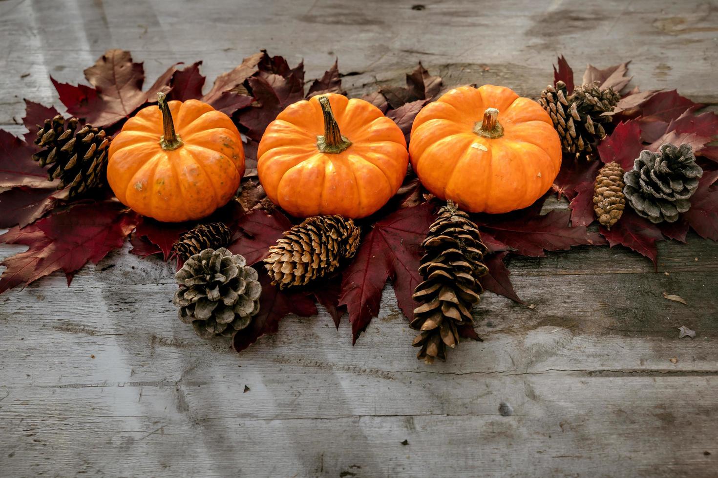 Festive autumn decor from pumpkins, pine and leaves on a  wooden background. Concept of Thanksgiving day or Halloween. Flat lay autumn composition with copy space. photo