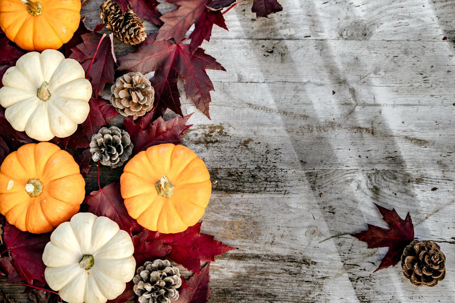 Pumpkins, dried leaves and pine wiht Autumn composition on wood background. Autumn, fall, halloween concept. Flat lay, top view, copy space photo