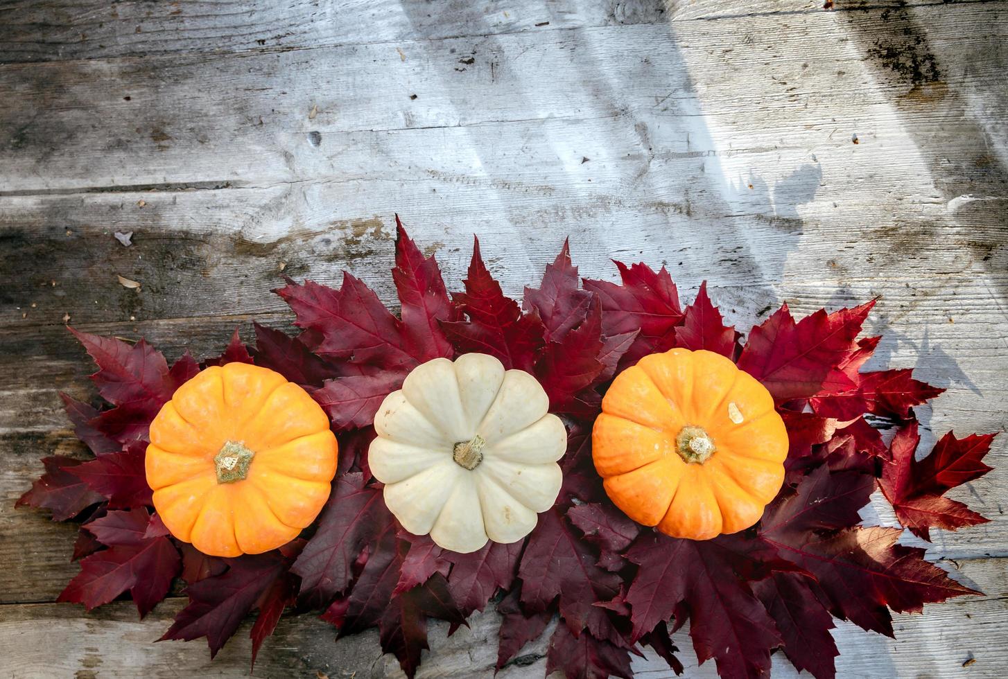 Festive autumn decor from pumpkins, pine and leaves on a  wooden background. Concept of Thanksgiving day or Halloween. Flat lay autumn composition with copy space. photo