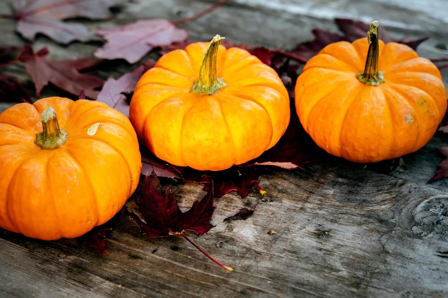 Festive autumn decor from pumpkins, pine and leaves on a  wooden background. Concept of Thanksgiving day or Halloween. Flat lay autumn composition with copy space. photo