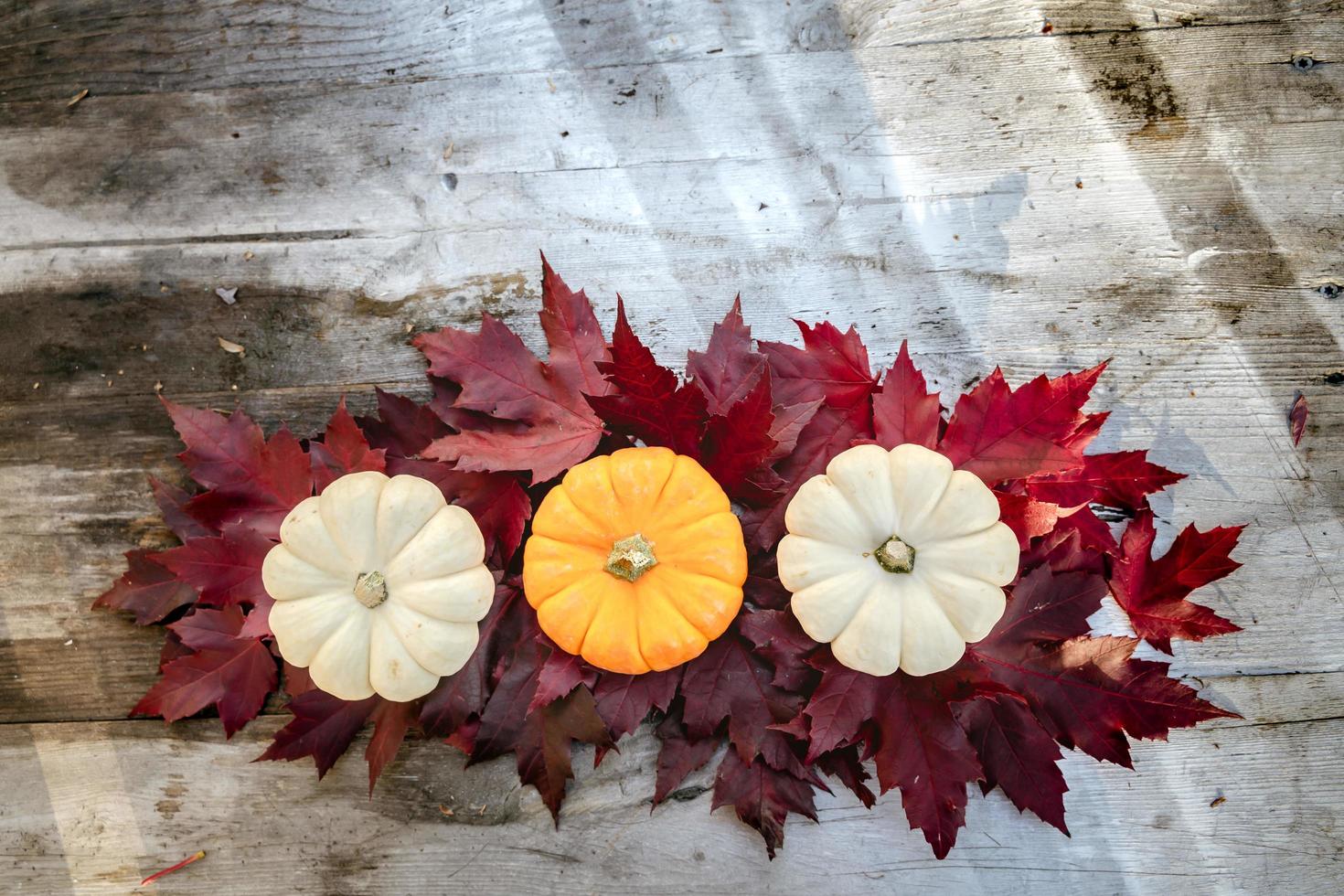 Festive autumn decor from pumpkins, pine and leaves on a  wooden background. Concept of Thanksgiving day or Halloween. Flat lay autumn composition with copy space. photo