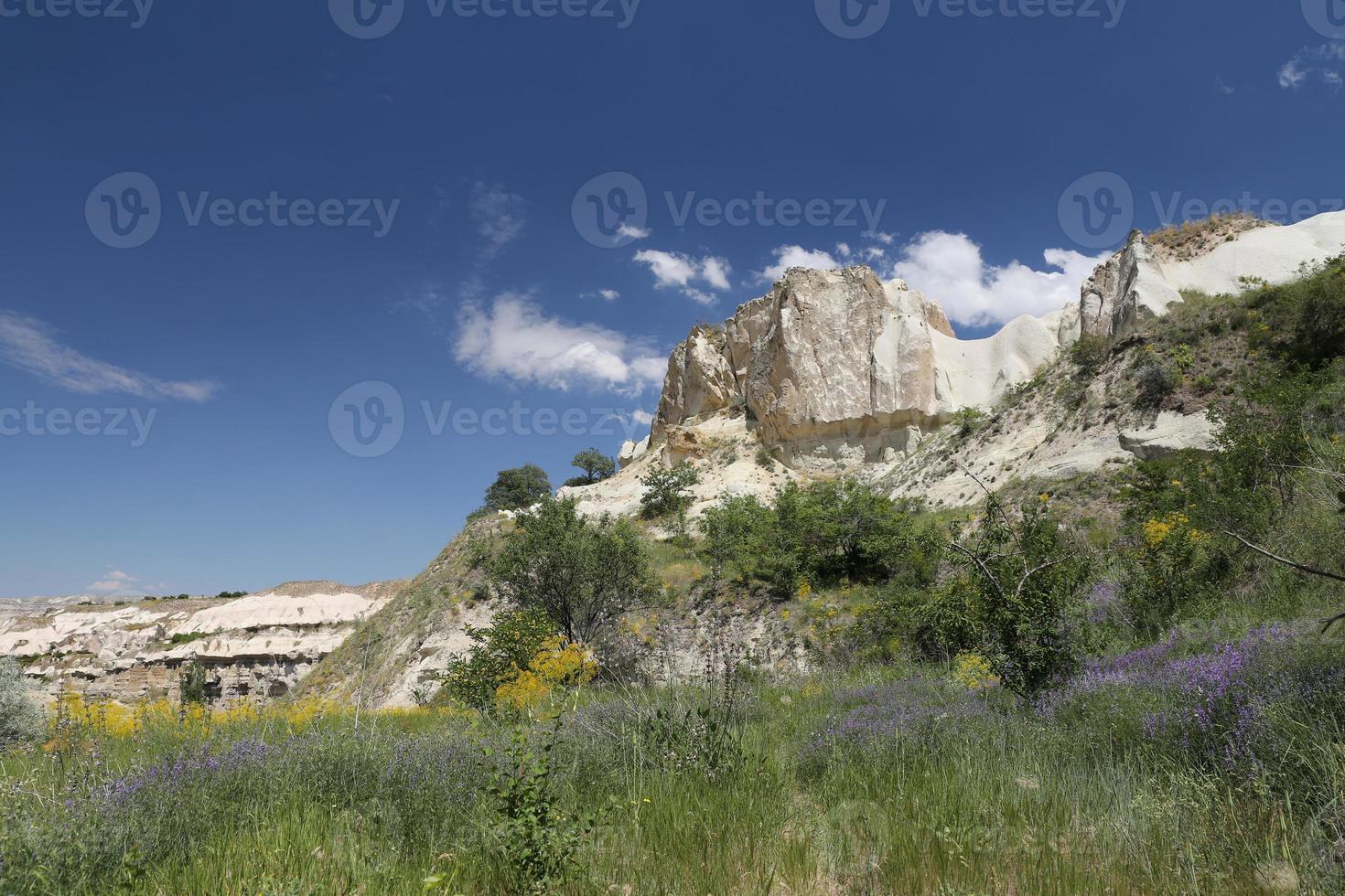 Pigeons Valley in Cappadocia photo