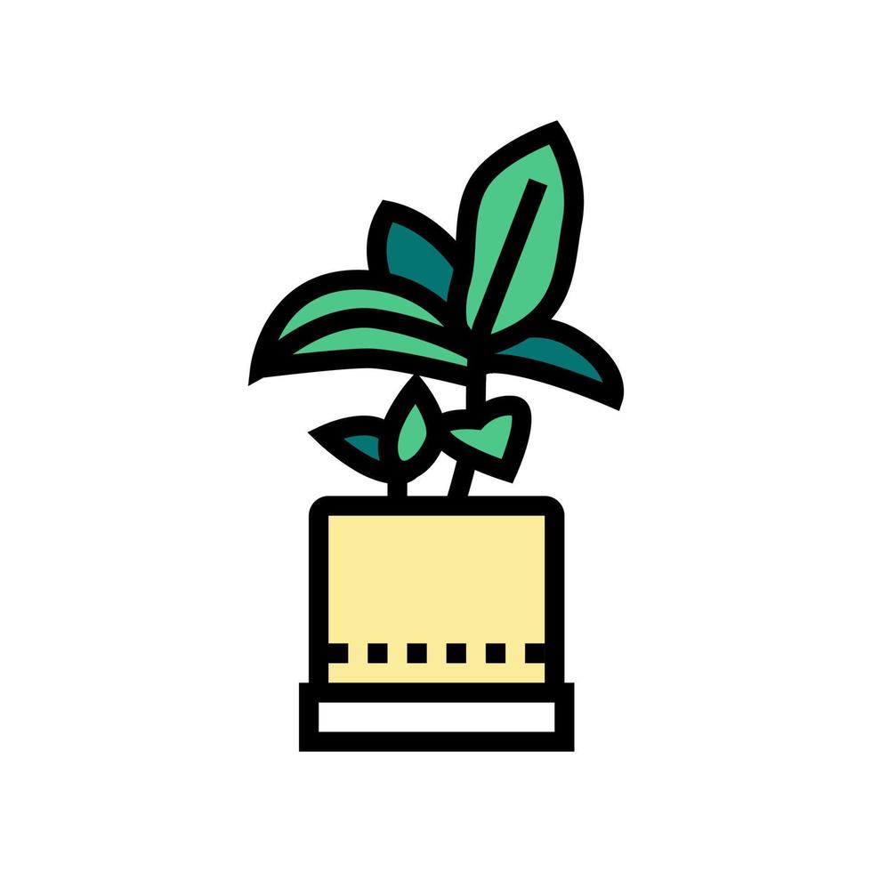 green leaves houseplant in pot color icon vector illustration