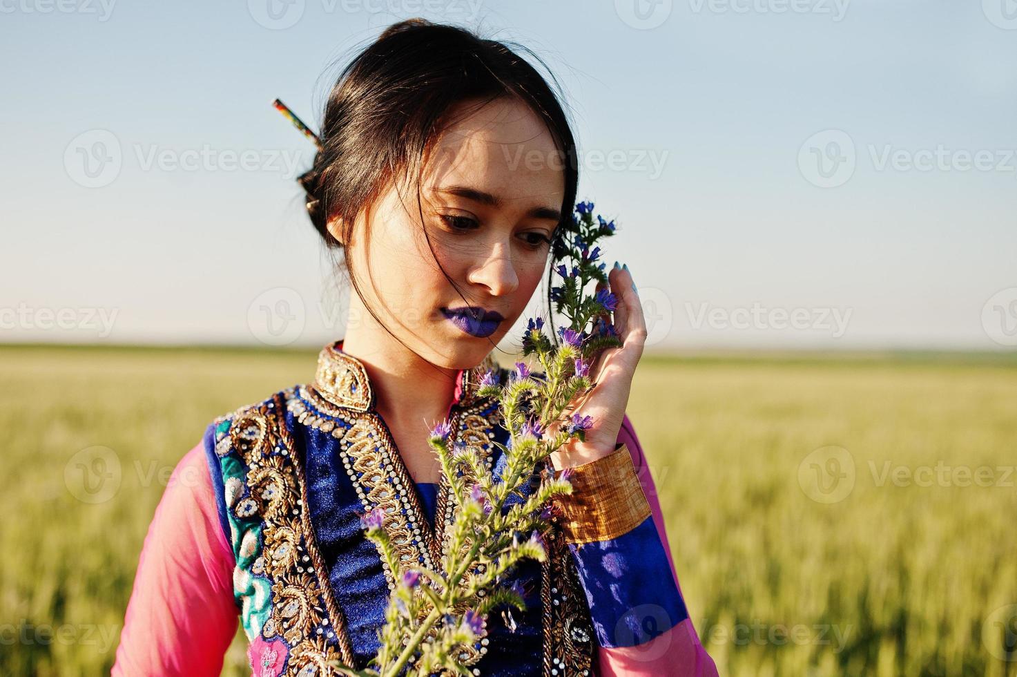 Tender indian girl in saree, with violet lips make up posed at field in sunset. Fashionable india model. photo