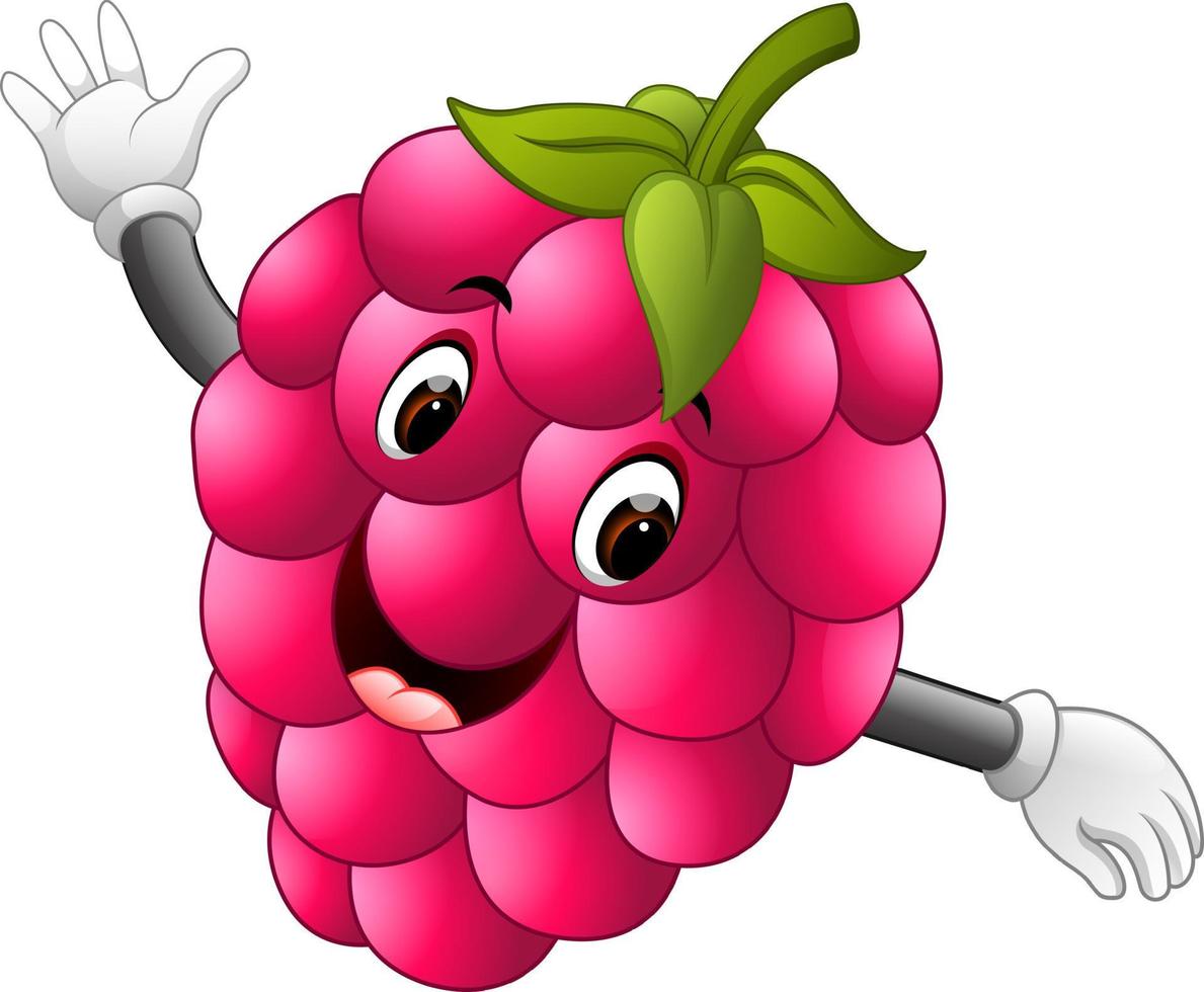 Raspberry with face vector