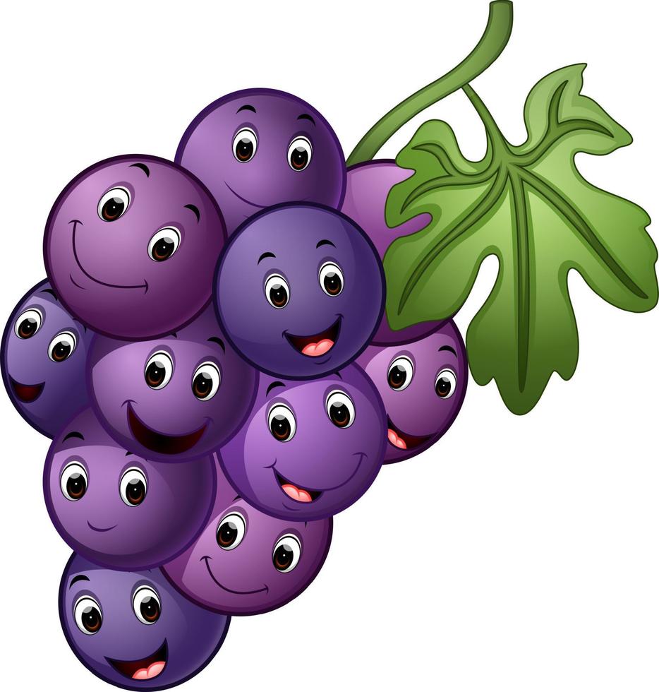 Grape with different face vector