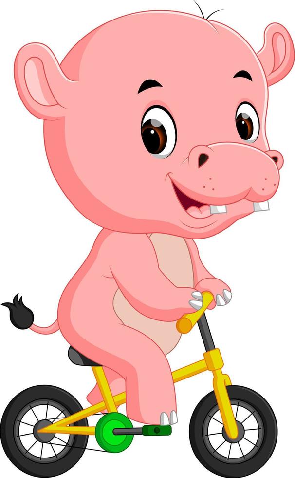 cute hippopotamus bicycling vector