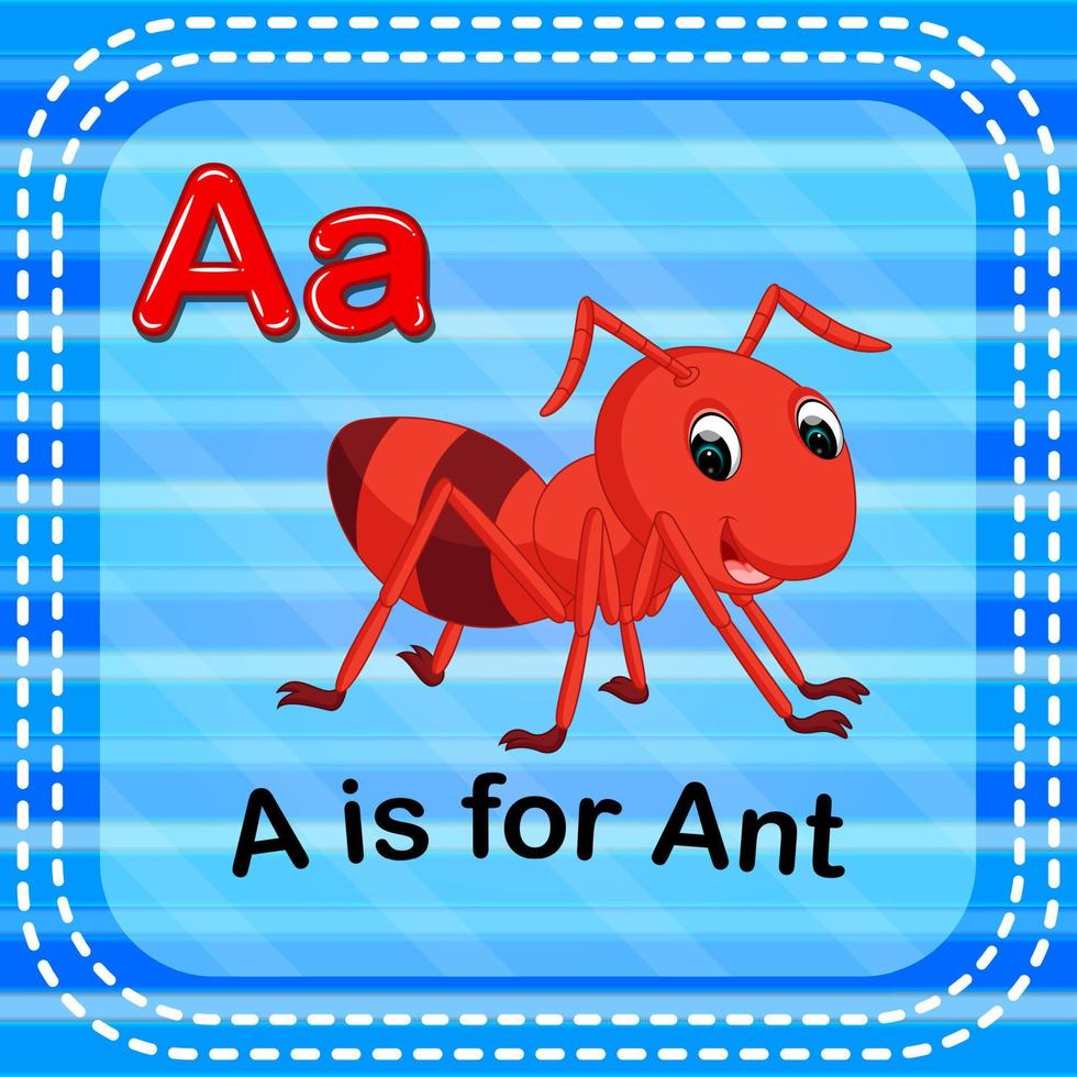 Flashcard letter A is for ant vector