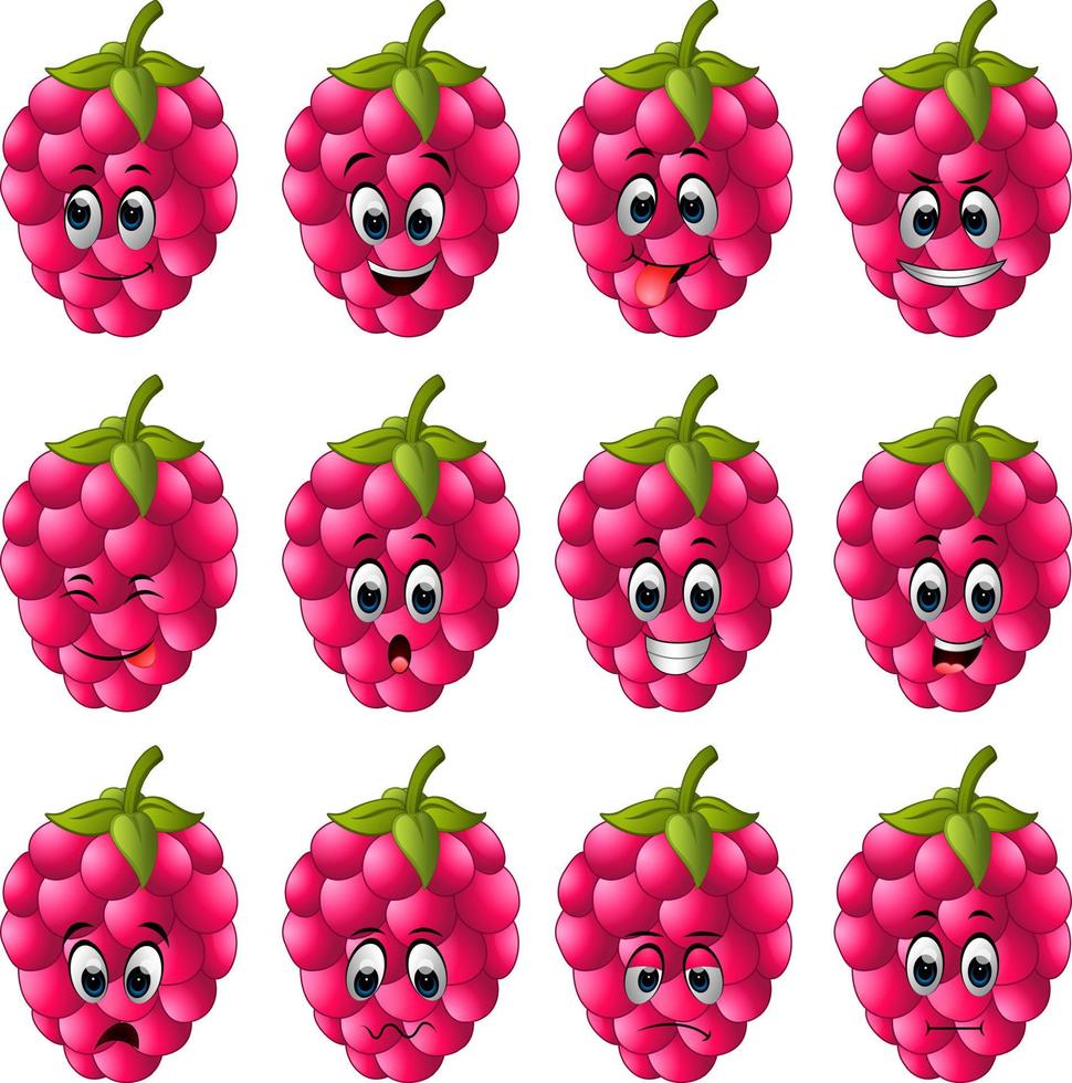 Raspberry with different emoticons vector