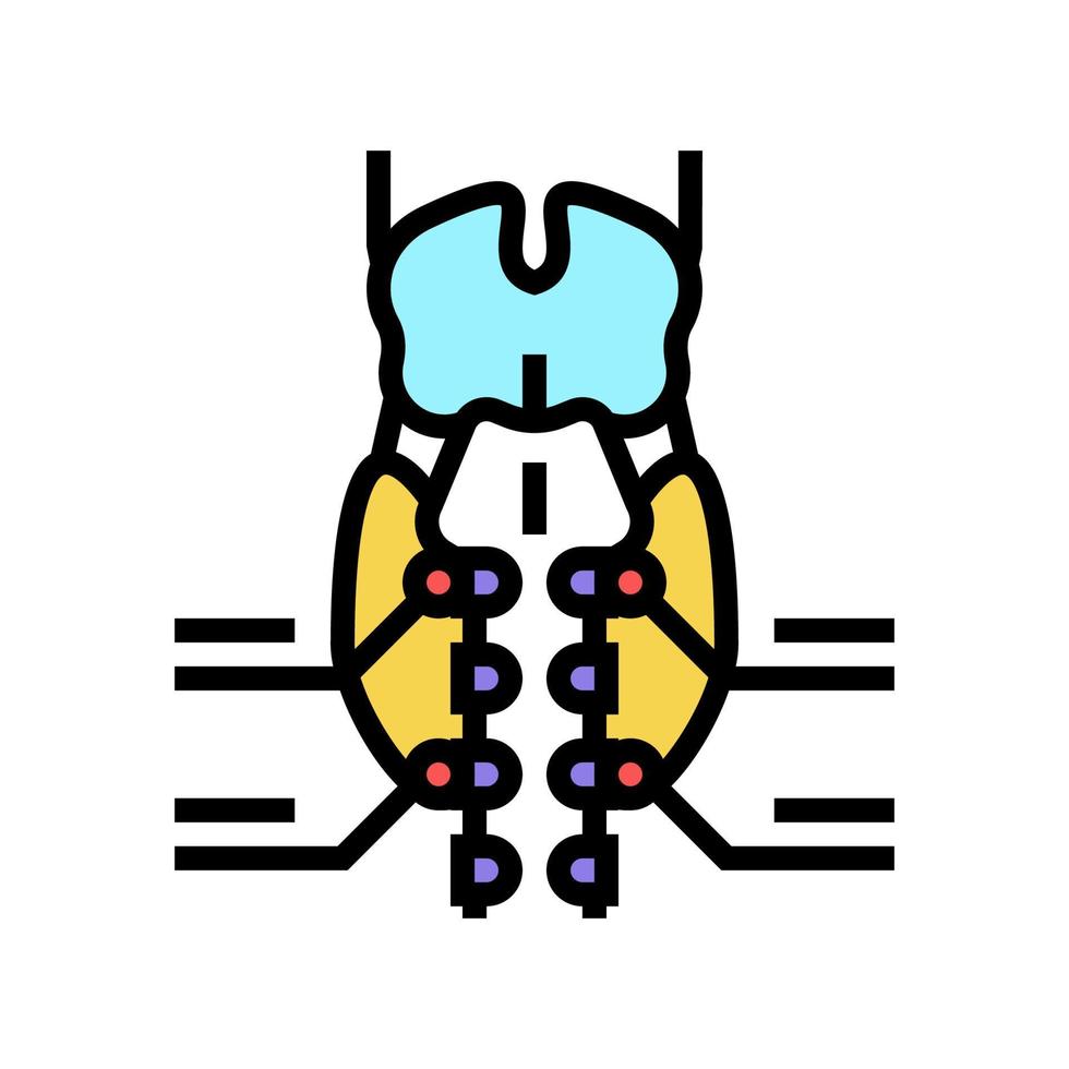 parathyroid gland endocrinology color icon vector illustration