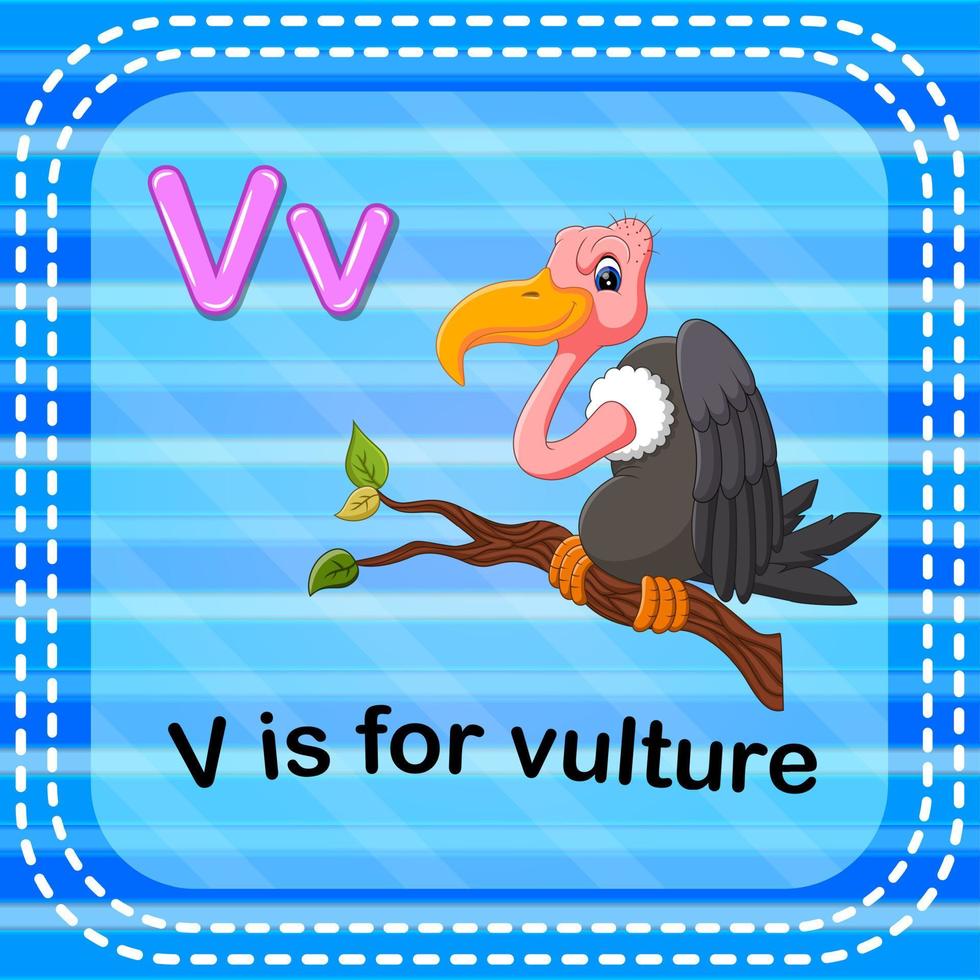 Flashcard letter V is for vulture vector