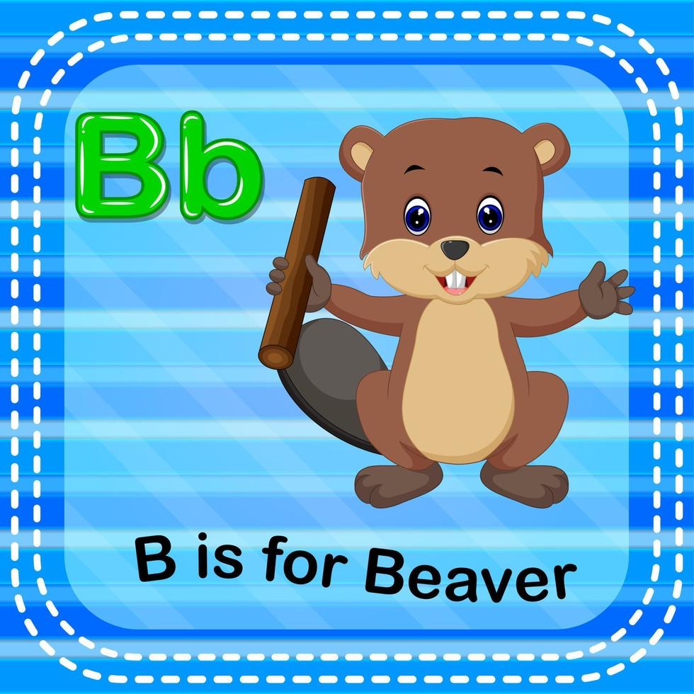 Flashcard letter B is for beaver vector