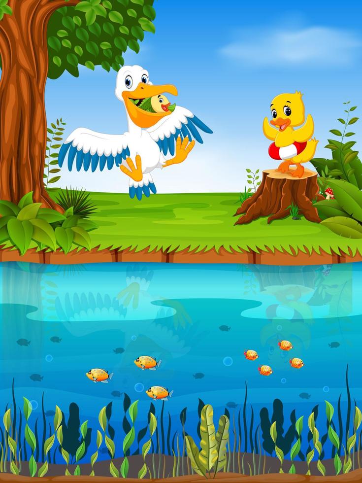 Cute pelican and duck in the river vector