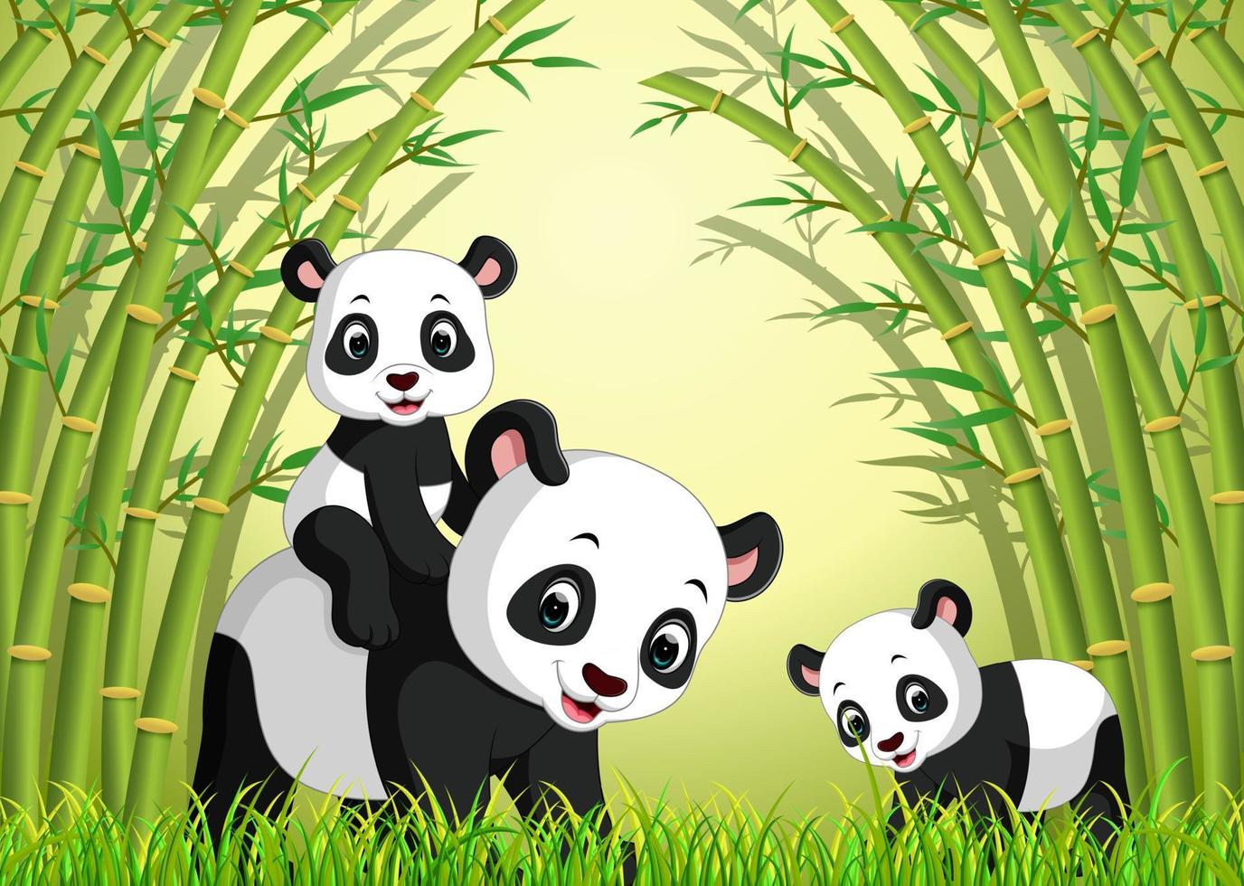 lindo panda en un bosque de bambú vector