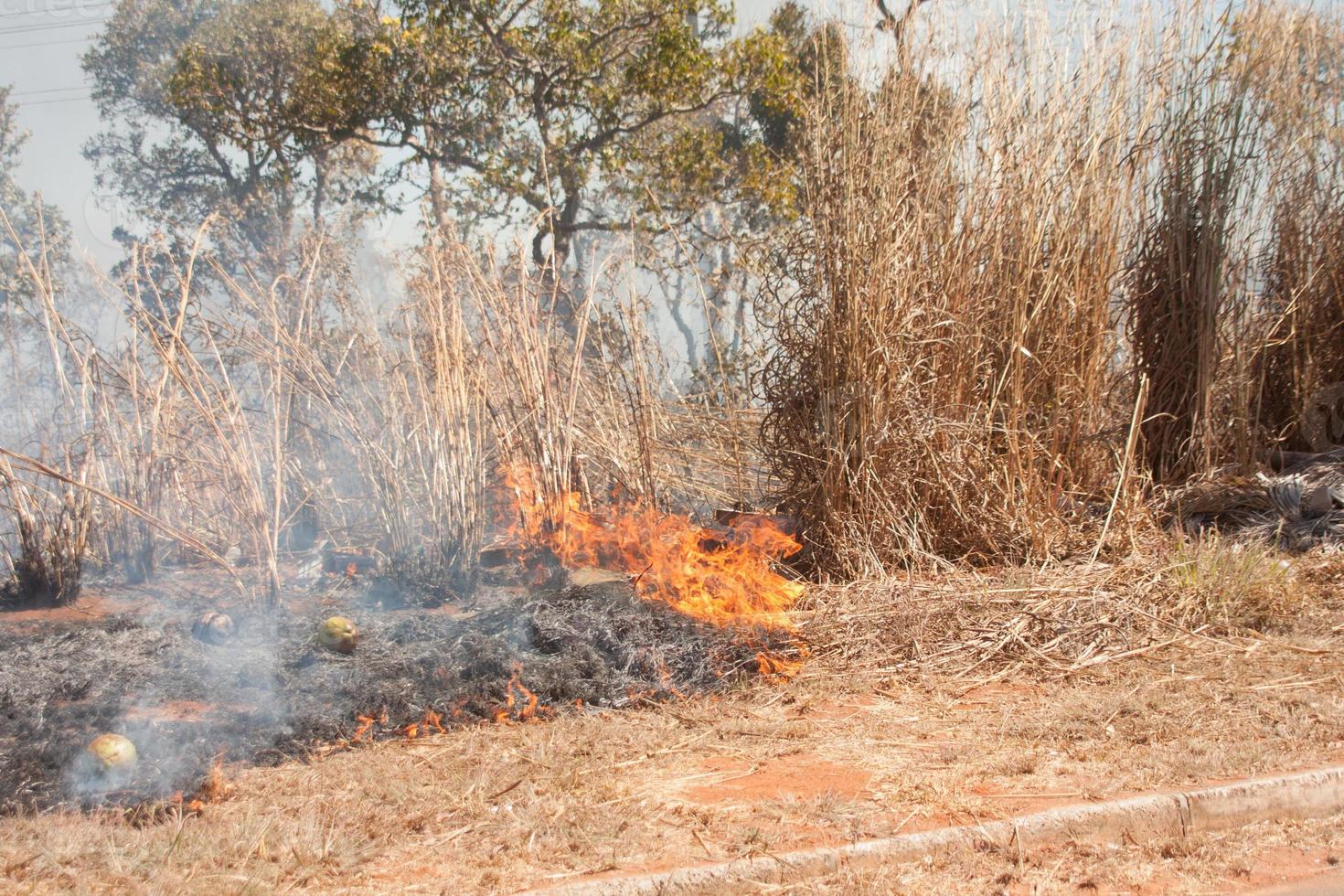 un incendio forestal cerca de la reserva india karriri-xoco y tuxa en la sección noroeste de brasilia, brasil foto